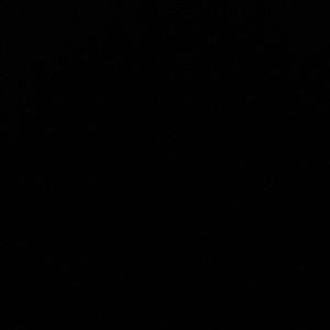 Meet your Posher, Gianna